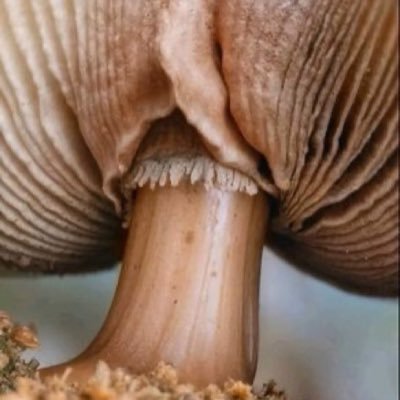 HaroldE29378472's profile picture. 