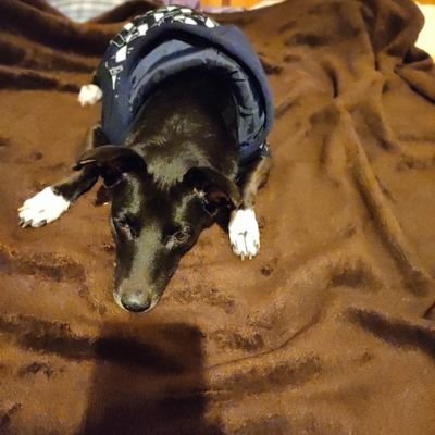 RaNa0914's profile picture. I'm here to know more about & follow women in sports (mainly cricket), my favorites SheetalSheth,Chinmayi,Mithali Raj ... Warrior Nun, Becky Armstrong