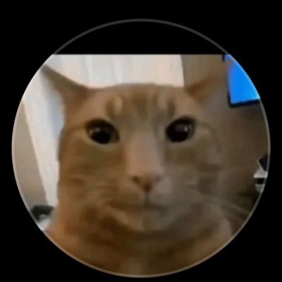 lazyieaa's profile picture. R