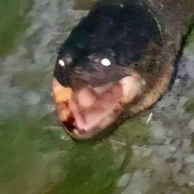 ESeelye8549's profile picture. 