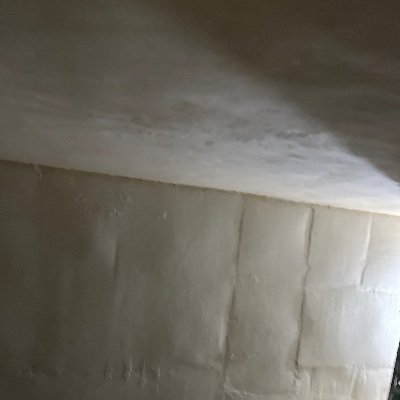 RrMorer's profile picture. Huhu