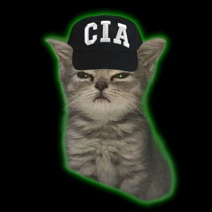 Bill of rights enjoyer. 2A advocate. Limb removal specialist. Wood chipper aficionado. If I say something illegal it is parody & protected speech