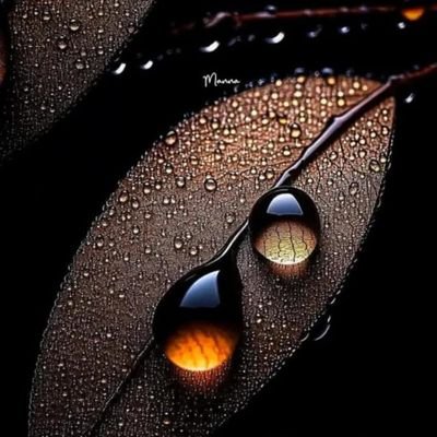 Ykhan666K83063's profile picture. 