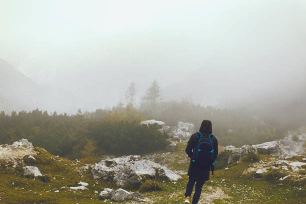 Utriecaw962's profile picture. 