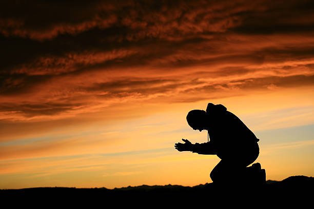 Orsralaubo2678's profile picture. 