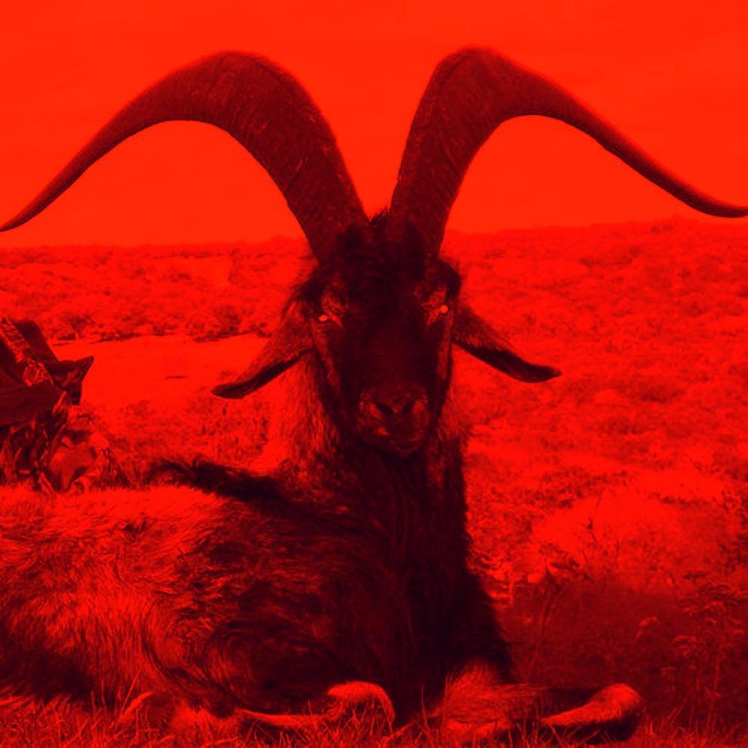 atlanticom1's profile picture. Money doesn't grow on trees