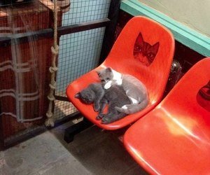 mim_ale's profile picture. When life hands you lemons - break out the tequila and salt.