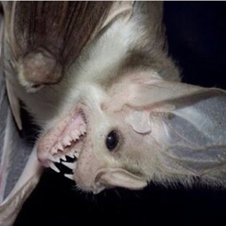 mlmtucson's profile picture. Me and Dre at the VMA's again