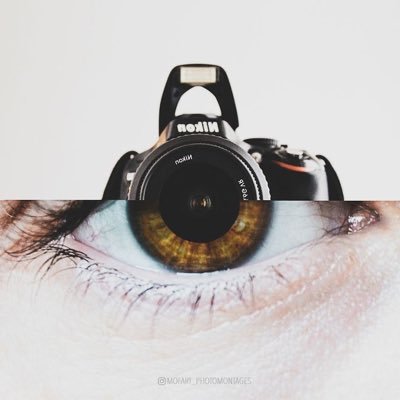 hksh2004's profile picture. 