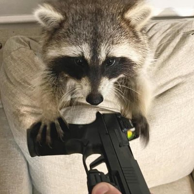 Dont mind me im just stealing out of your garbage cans a little bit