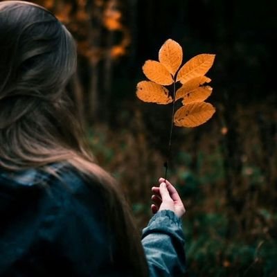 MughalZadi804's profile picture. Main account @LubnaOfficial_1