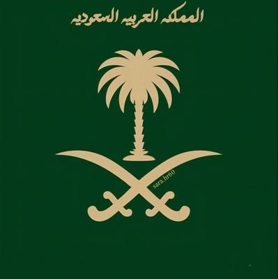 HamadAlqurashi9's profile picture. 