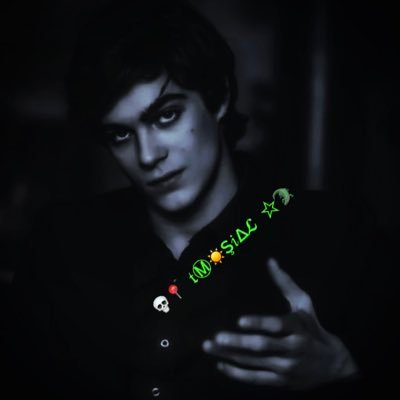 Tamim4352191291's profile picture. 