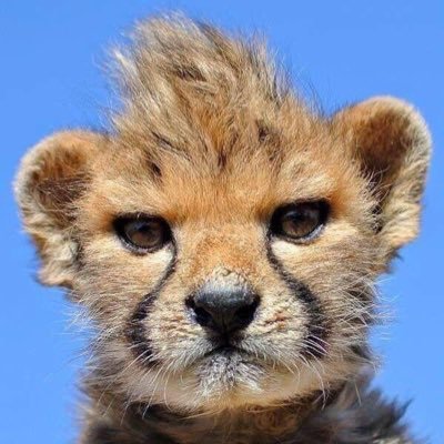 CryptoRyNE's profile picture. 