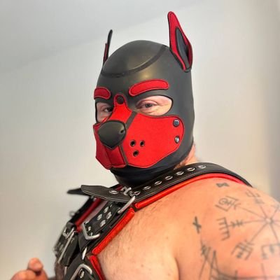 NSFW 🔞 Gay 🏳️🌈 Male ♂️ 30 🎂 Pup 🐾 Bear 🐻 UK 🇬🇧 biker 🏍
partner to @Pup_Lock
