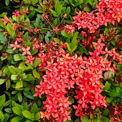 EAijdo10062's profile picture. gay 21