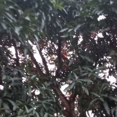 SorySambegou's profile picture. 🇬🇳🇬🇳🇬🇳🇬🇳🇬🇳🇬🇳 anti comportement