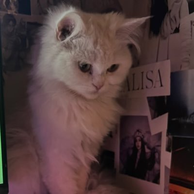 utllPranpr1ya's profile picture. Lilies for Lisa #Blackpink