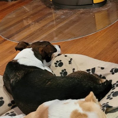 aluge62023's profile picture. 