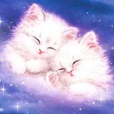 🐚 Sua bruxinha do amor ✩☾ Espero ajudar a entender suas decisões e caminhos com minhas tiragens 🔮 Atendimentos somente pelo WhatsApp!