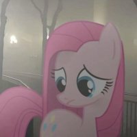 stella :P (@stellath1n) 's Twitter Profile Photo