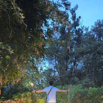 En un lugar muy muy muy lejano, tan lejos que no encontré la forma de acercarme a tu corazón. 🍀 https://t.co/DkQ7cHvrP6