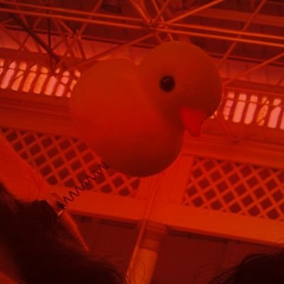 Samu_pirarucu's profile picture. OrdemCon Co-founder • só o universo sabe como ta a mente do doente