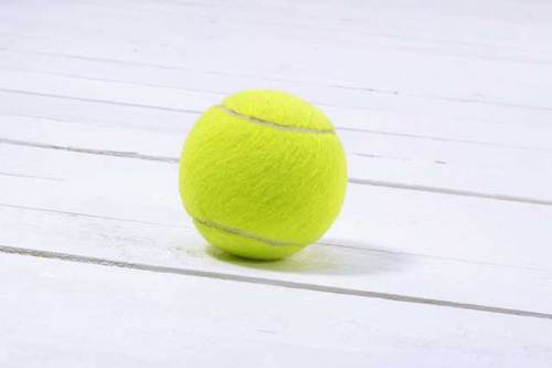 otc_titech's profile picture. 東工大オープン優勝！テニスサークル|東洋英和女学院|週2日・4時間練習！|初心者も他大学も大歓迎！|興味ある方はDMかリプください！  現在はこちらのアカウントを使用しています。→@otc_shinkan2018