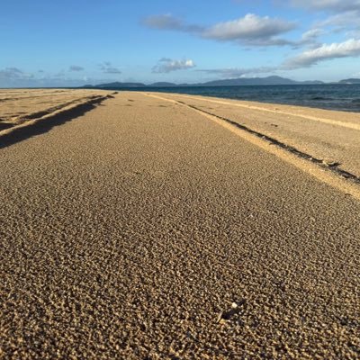 Alphahaopro's profile picture. 