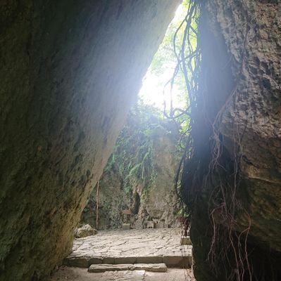 増税し納税者の財産を奪う政府から減税することで納税者の財産を守るのが政治家の仕事
減税行革を応援します
全ての増税に反対
Promoting Freedom