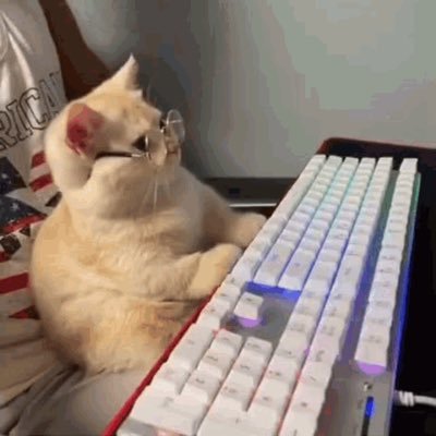 Web App Pentester (in the makes) || Age 13 | THM & HTB | Actively Learning.
https://t.co/wvvBgBETIb
https://t.co/KmcigzjmHs