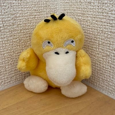 左の毛が少し短いニヤケ顔のコダックです