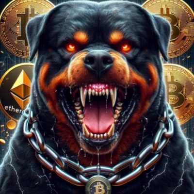 cryptorottie25's profile picture. 