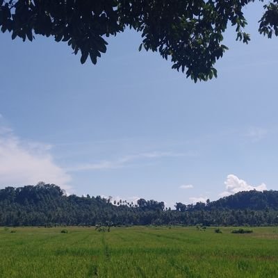 projectfx253's profile picture. 