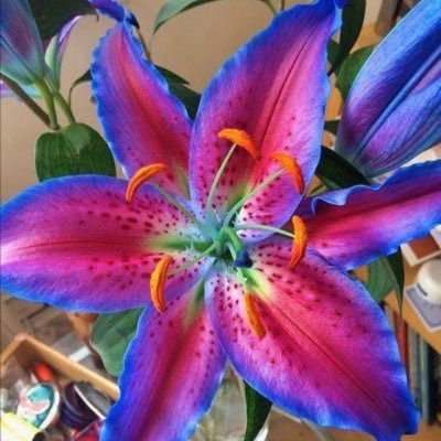 f0r3stf1re's profile picture. 22