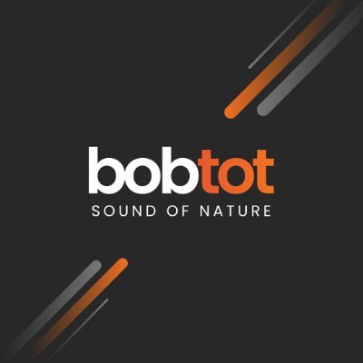 Crafting unforgettable moments globally with cutting-edge sound systems. Bobtot: Your trusted companion in audio magic.