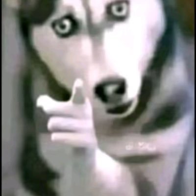 jamesgdjdhm65's profile picture. 