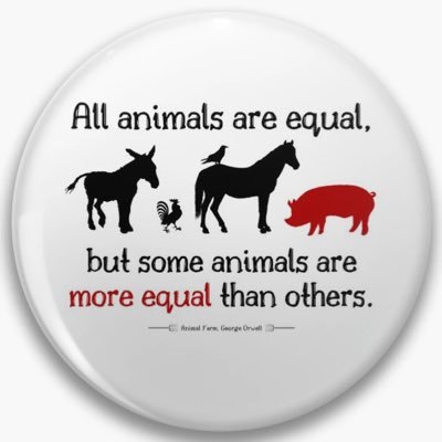 ma_shuchaha's profile picture. 