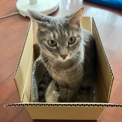 kofukuさんのプロフィール画像