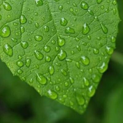 fto_sf's profile picture. No sex bots, no lists please. Not a fan of labels. Tribalism causes brain worms. Not attached to a narrative. I just want to know the truth.