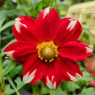 Jenny133872's profile picture. Health-conscious, politically aware woman who loves food and photography