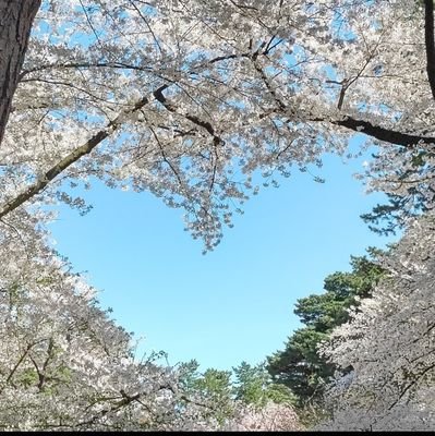 4児のmama🌼可愛い猫もいます🐱🐾美容★メイク★化粧品★旅行★料理★お菓子★懸賞★ゲーム★「新発売」「新商品」が大好きです🎀