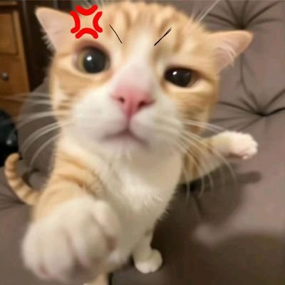 walaupun mukaku kaya kresek tapi cintaku padamu rill no fek
‧₊˚🖇️✩ ₊˚🎧⊹♡ 🐈⬛ ྀི