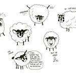 nialr65453584's profile picture. 令和のお金の稼ぎ方＆費やし方＆麻雀のイメージ向上をテーマにブログ・SNS運営 | ブログ開始50日で収益3桁/記事30超 | 3月末までに5桁目指して奮闘 | 方向性は彷徨い中