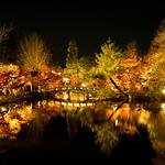 psnov32564649's profile picture. 🏇競馬好き🐴息子がホースマン🏆マイネル軍団全力応援🎉2024年はマルターズディオサ推し✨広瀬すずになりたい💖