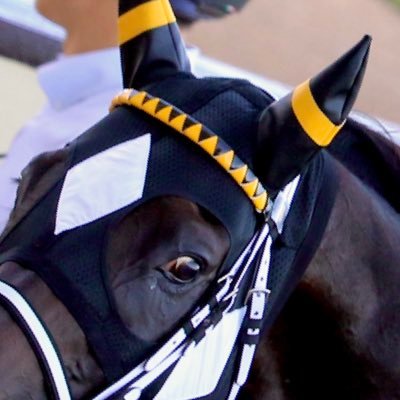 paccapaca1's profile picture. お馬たちが好きです🏇競馬場巡り🏇梅田厩舎🏇 岡田厩舎🐎菱田騎手🐎 無言フォロ失礼します 無言フォロ大歓迎♬ 最近疲れすぎかポエミーに走りがち