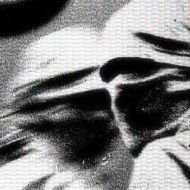 magiicsunn's profile picture. sp
19y