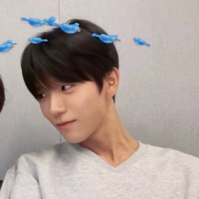 daettaeng621's profile picture. 대영이 쓰담쓰담🫳🫳