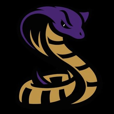 Sonoran Sidewinders Football | 🏈
🐍 Official member @HJCAC
👊 Head Coach @SS_CoachMonson
🔥 Back & stronger in 2025
📍 Westside PHX | #StrikeFast