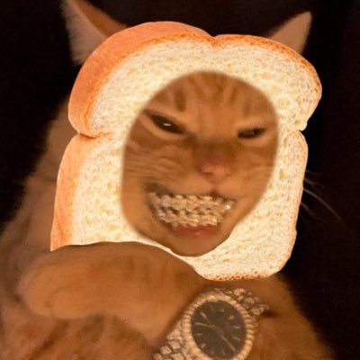 Diamond_BallzZ's profile picture. @InbredCatOnSol 麵包裡有一隻貓